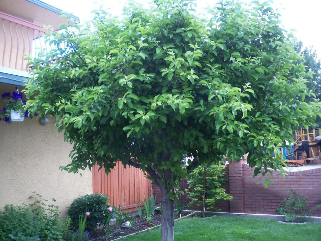 Lakeside Villa & Nordic Spa Penticton Dış mekan fotoğraf