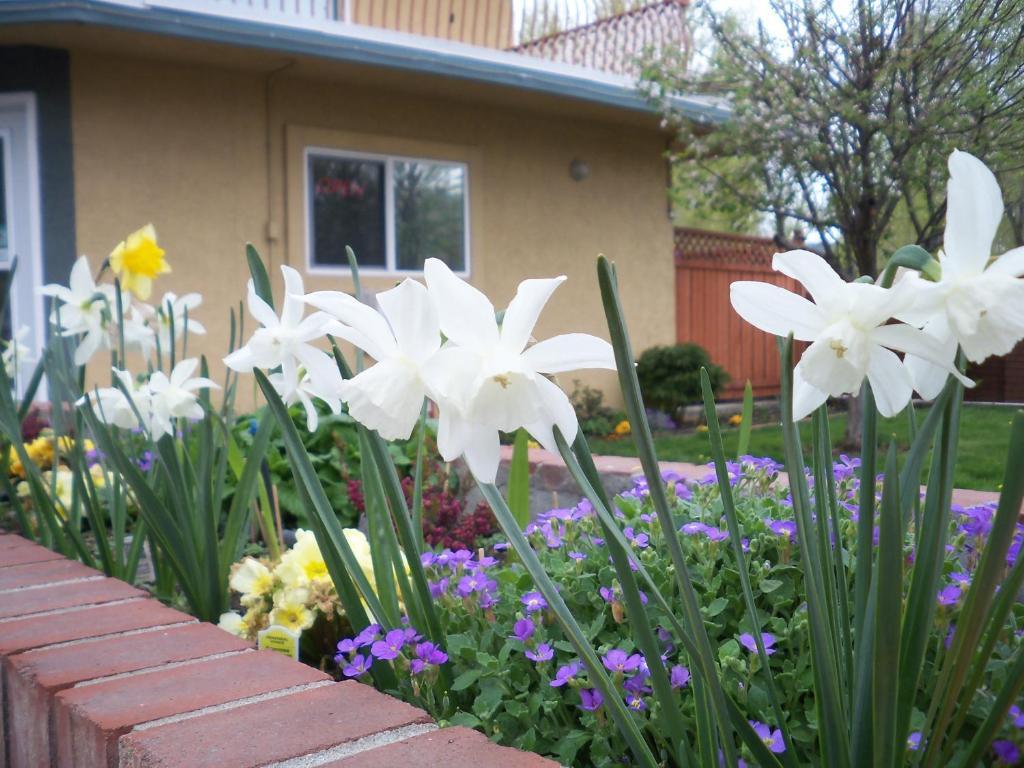 Lakeside Villa & Nordic Spa Penticton Dış mekan fotoğraf